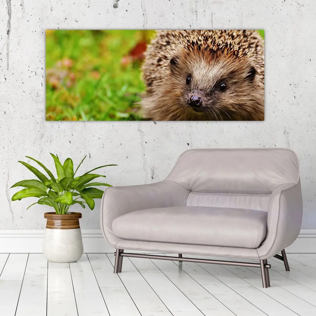 Tablou cu arici (120x50 cm)