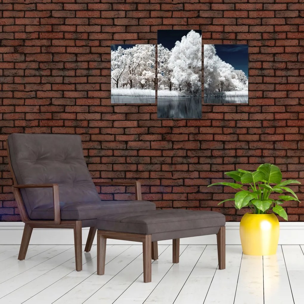 Tablou - Albă ca Zăpada Albă ca Zăpada Copaci (90x60 cm)