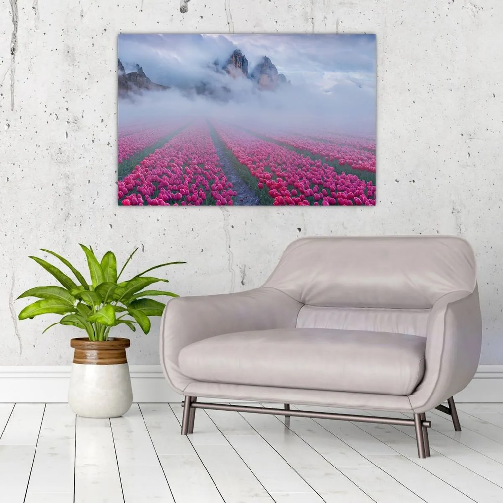 Tablou - Peisaj cu câmpuri de lalele (90x60 cm)