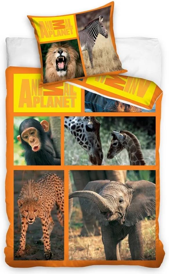 Lenjerie de pat Animal Planet - Safari, 160 x 200 cm, 70 x 80 cm