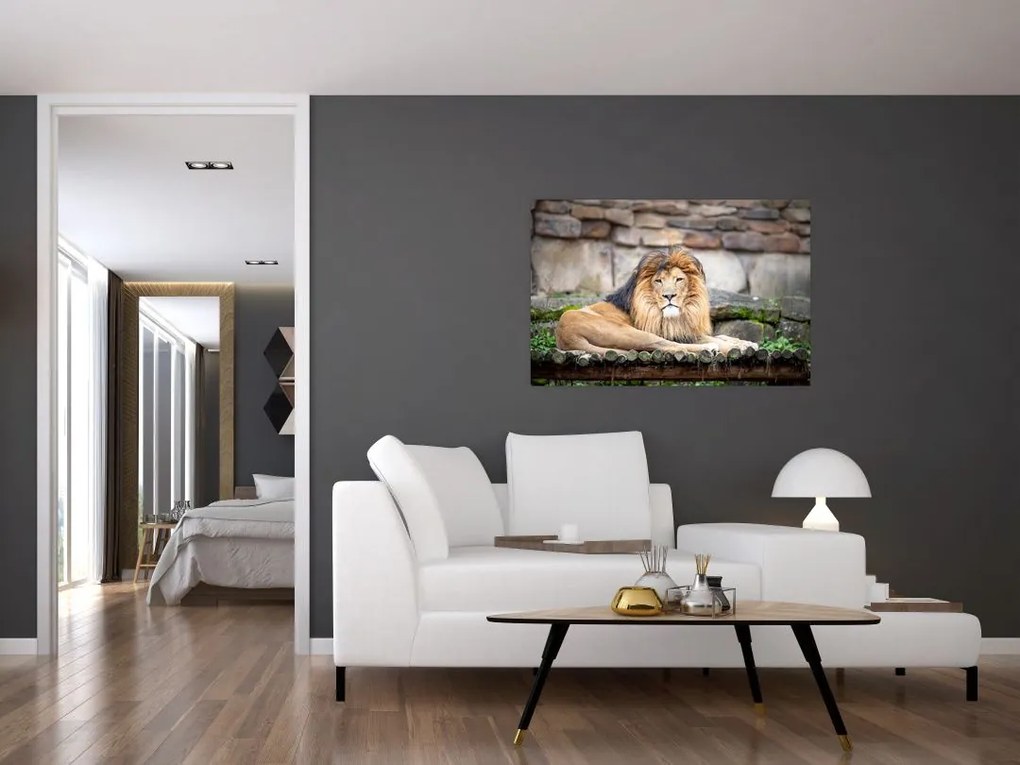 Tablou cu leu (90x60 cm)