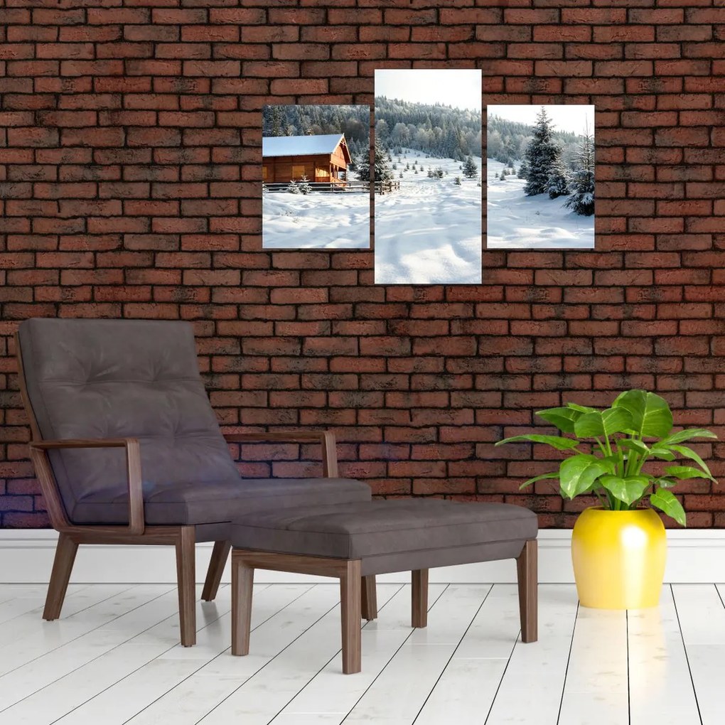 Tablou - Cabană de munte (90x60 cm)