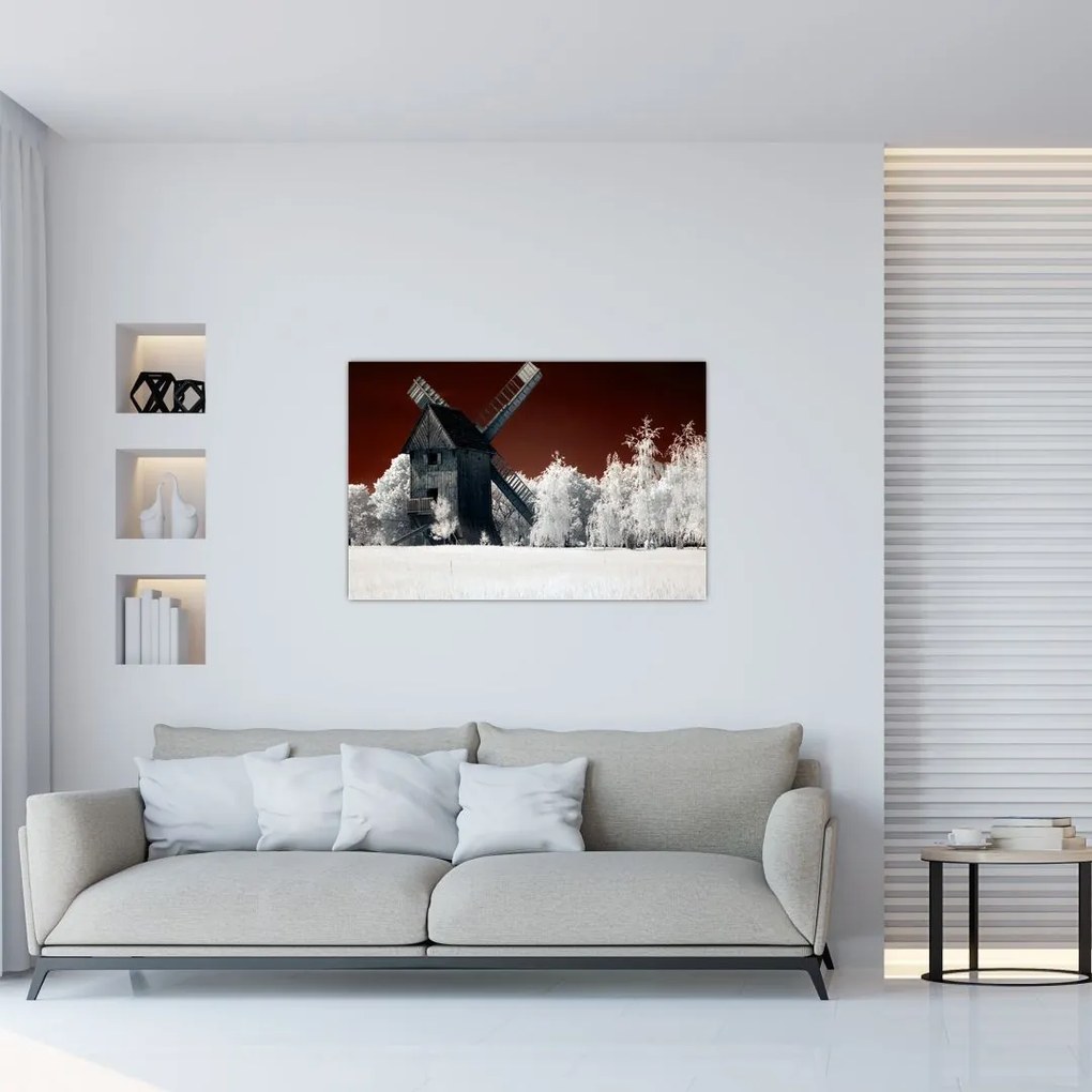 Tablou cu moară (90x60 cm)