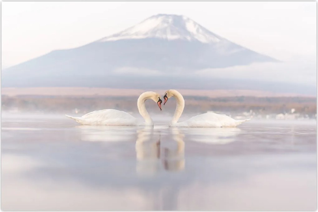 Tablou - Lebede îndrăgostite (90x60 cm)