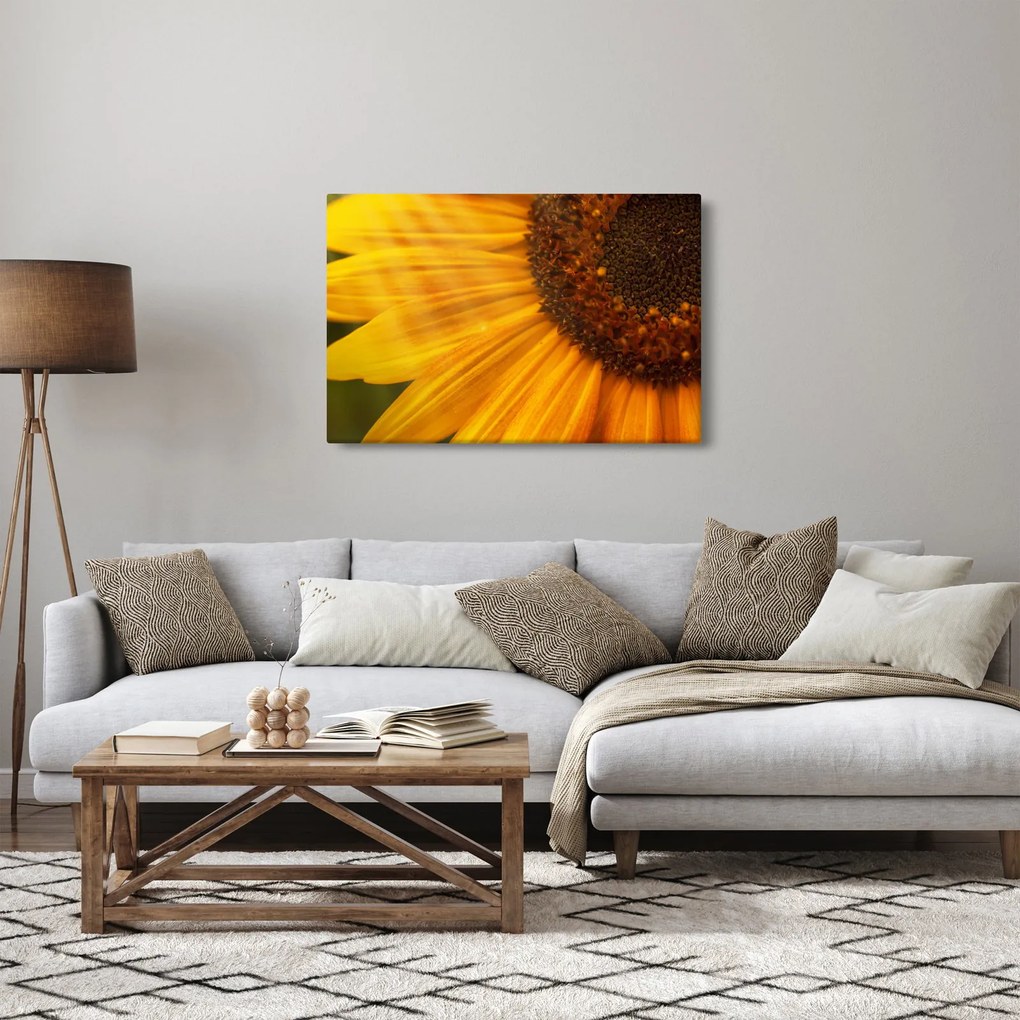 Tablou - Floarea-soarelui (90x60 cm)