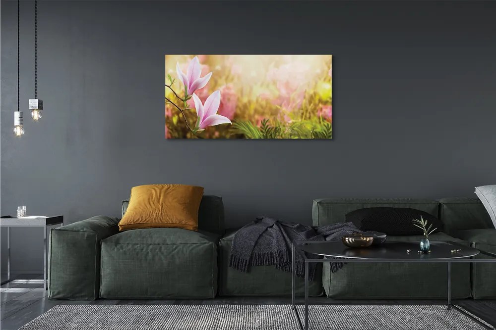 Tablouri canvas Magnolia copac soare