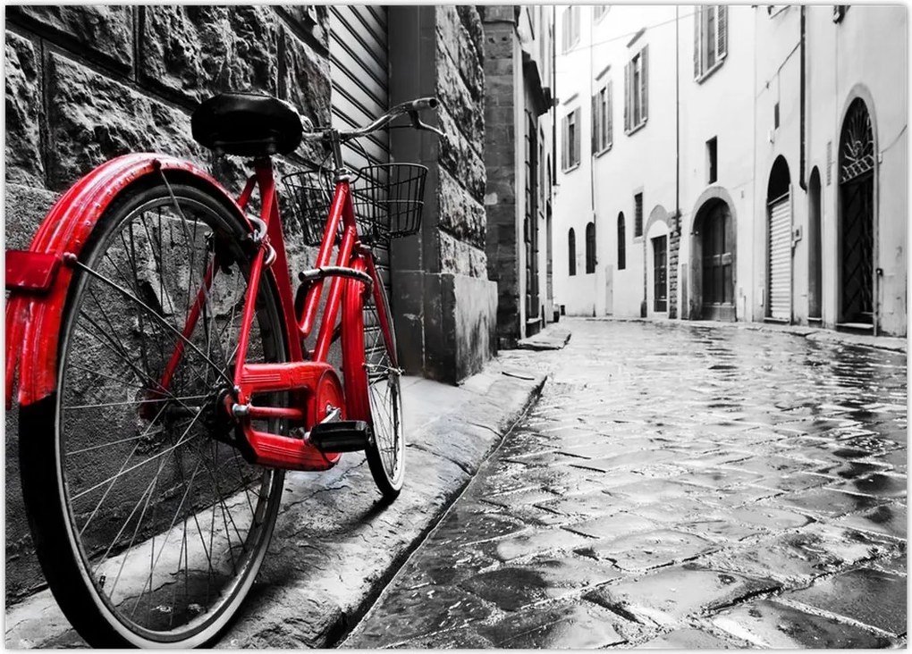 Tablou - Bicicleta roșie pe o stradă pavată (70x50 cm)