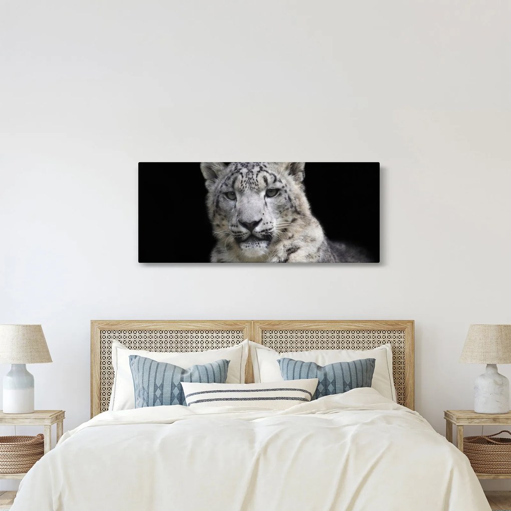 Tablou - Snow Leopard (120x50 cm)