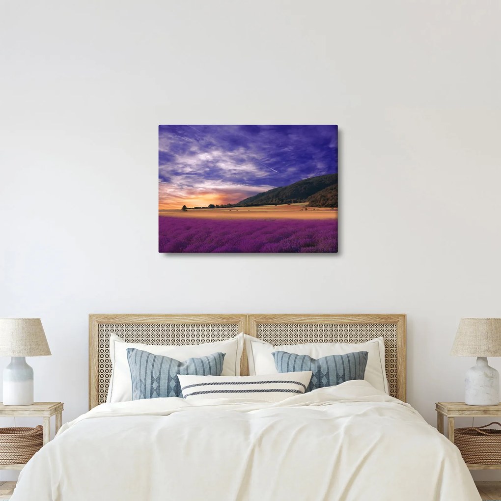 Tablou cu lunca cu lavandă (70x50 cm)