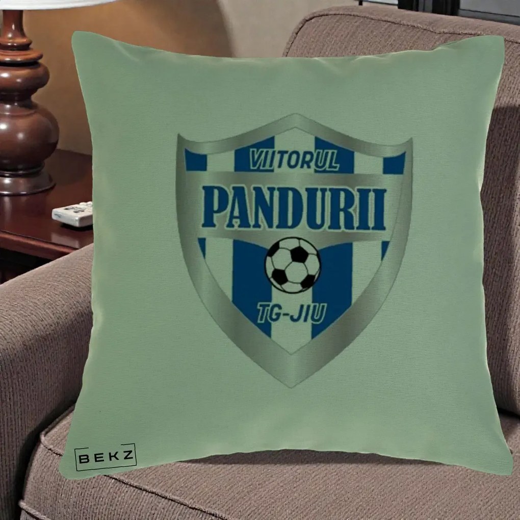 Perna Personalizata Pandurii Targu Jiu Fotbal, 40x40 cm, Verde, Husa Detasabila, Perna Inclusa, BEKZ®