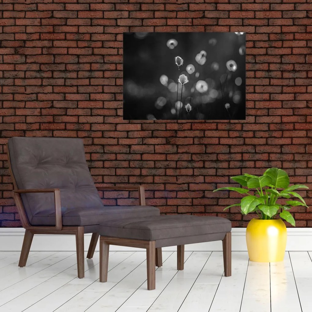 Tablou pe sticlă - Iarba de bumbac în pajiște (70x50 cm)