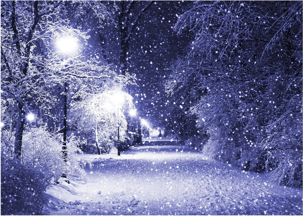 Tablou - Noaptea magică de iarnă (70x50 cm)