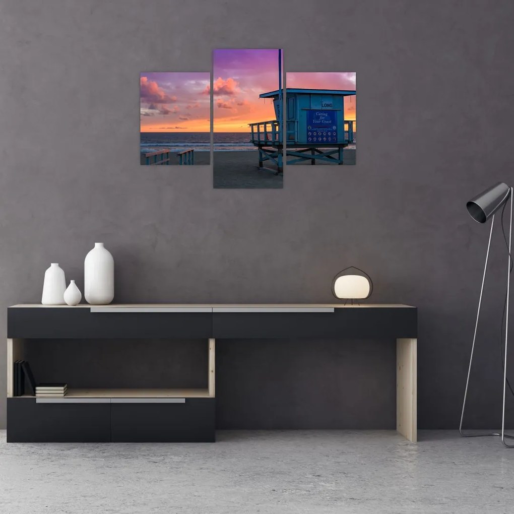 Tablou de pe plaja Santa Monica (90x60 cm)