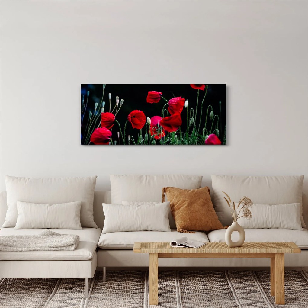 Tablou - Dansul macilor (120x50 cm)