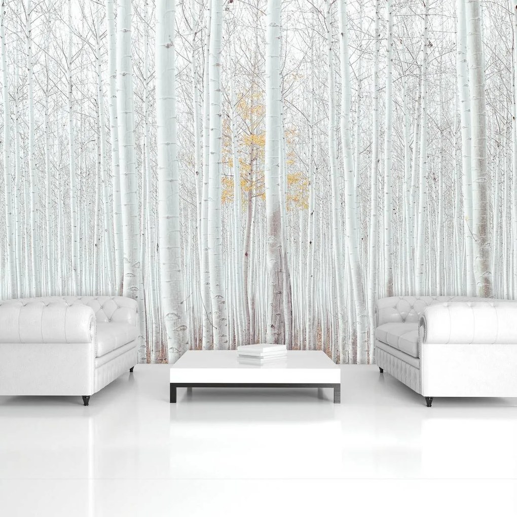 Fototapet - Pădure - albă (152,5x104 cm), în 8 de alte dimensiuni noi