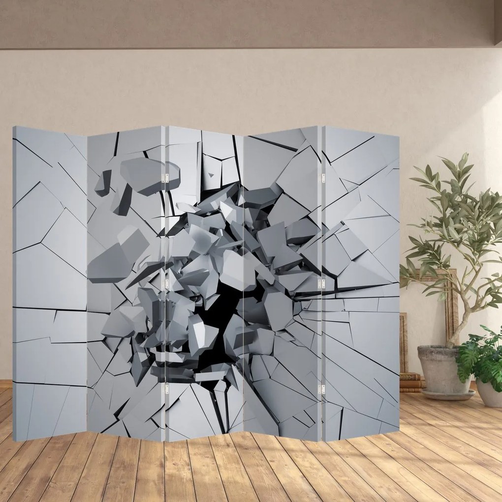 Paravan - Abstracție 3D (210x170 cm)