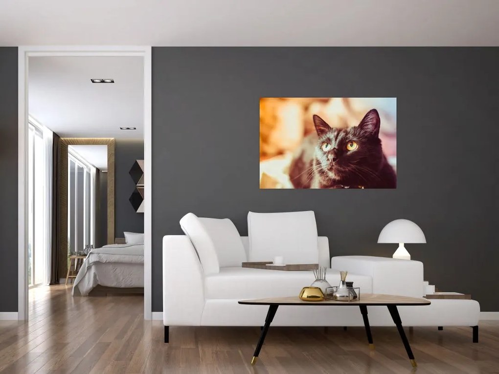 Tablou pisica neagră (90x60 cm)