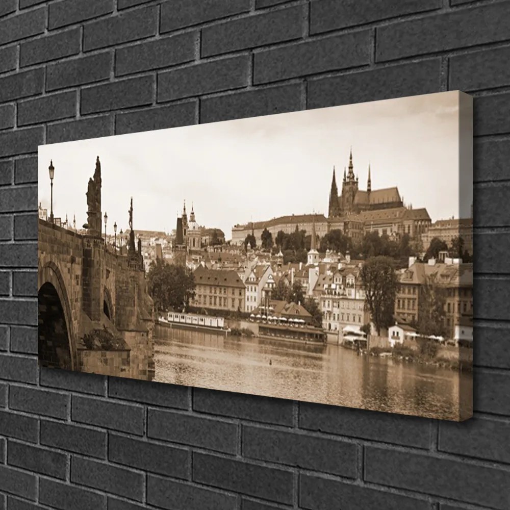 Tablou pe panza canvas Praga Podul Peisaj Sepia