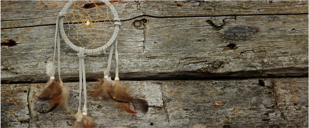 Tablou - Prinzător de vise (120x50 cm)