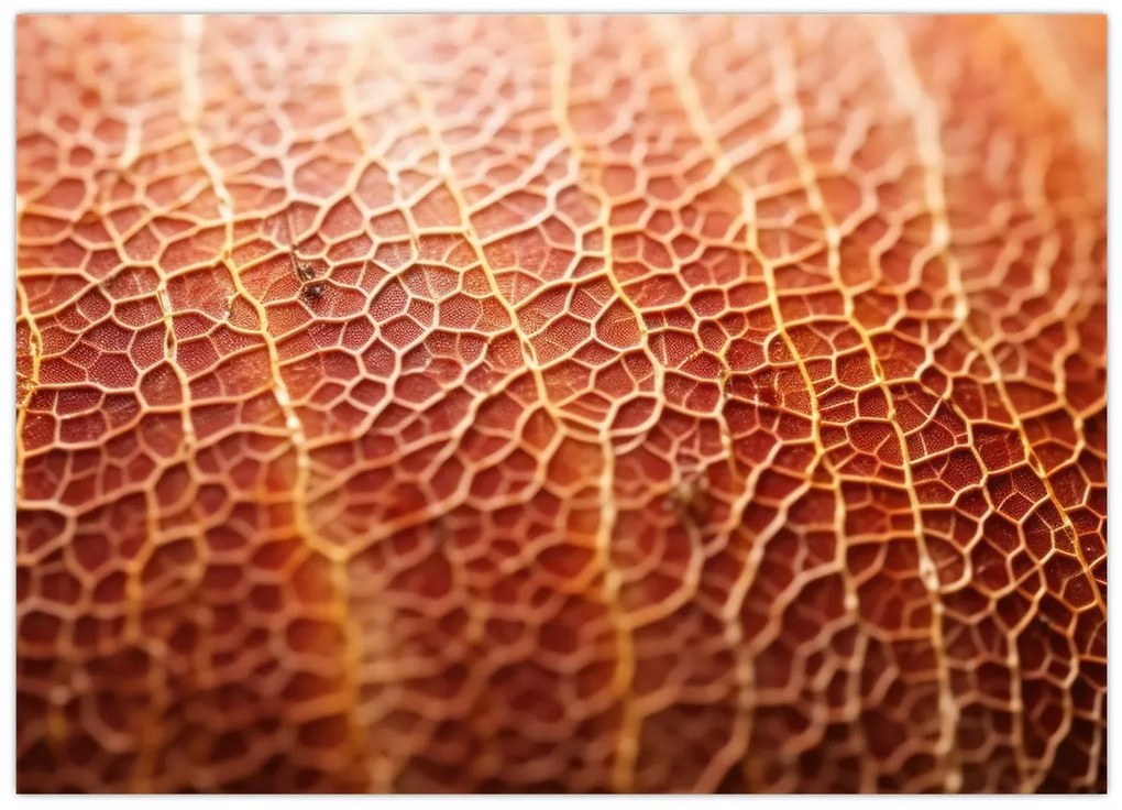 Tablou pe sticlă - Detaliu de textură (70x50 cm)