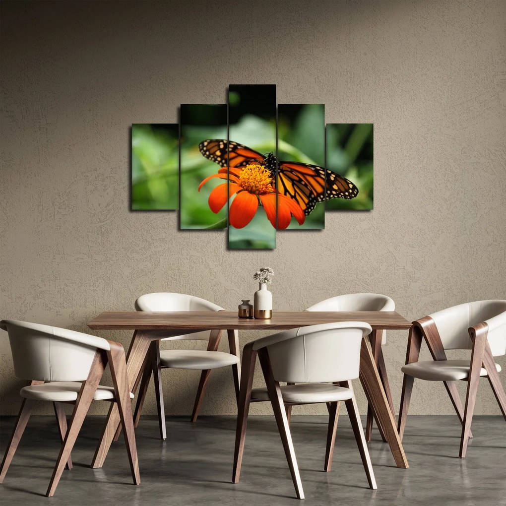 Tablou cu fluture pe floare (150x105 cm)