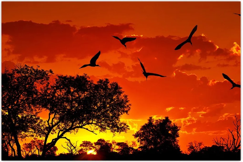 Tablou cu păsări în apus de soare (90x60 cm)