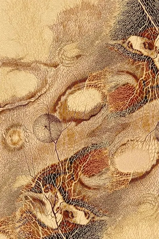 Covor lana Bellona natura abstracta chihlimbar Selectează mărime: 100 X 180