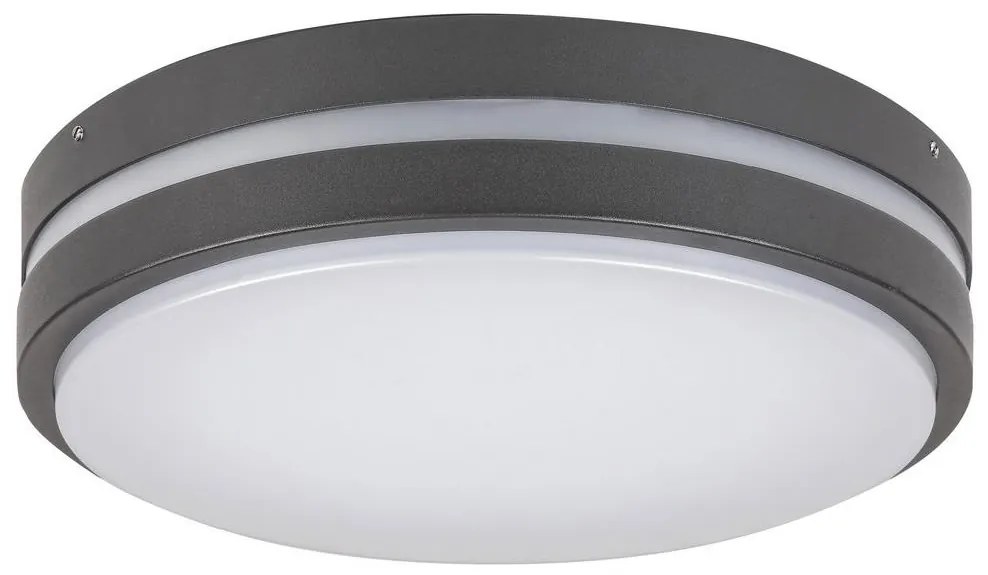 Rabalux 8848 - Aplică perete exterior LED HAMBURG LED/12W/230V IP44