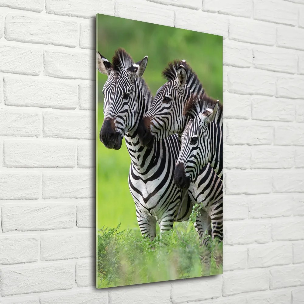 Tablou Printat Pe Sticlă trei zebre