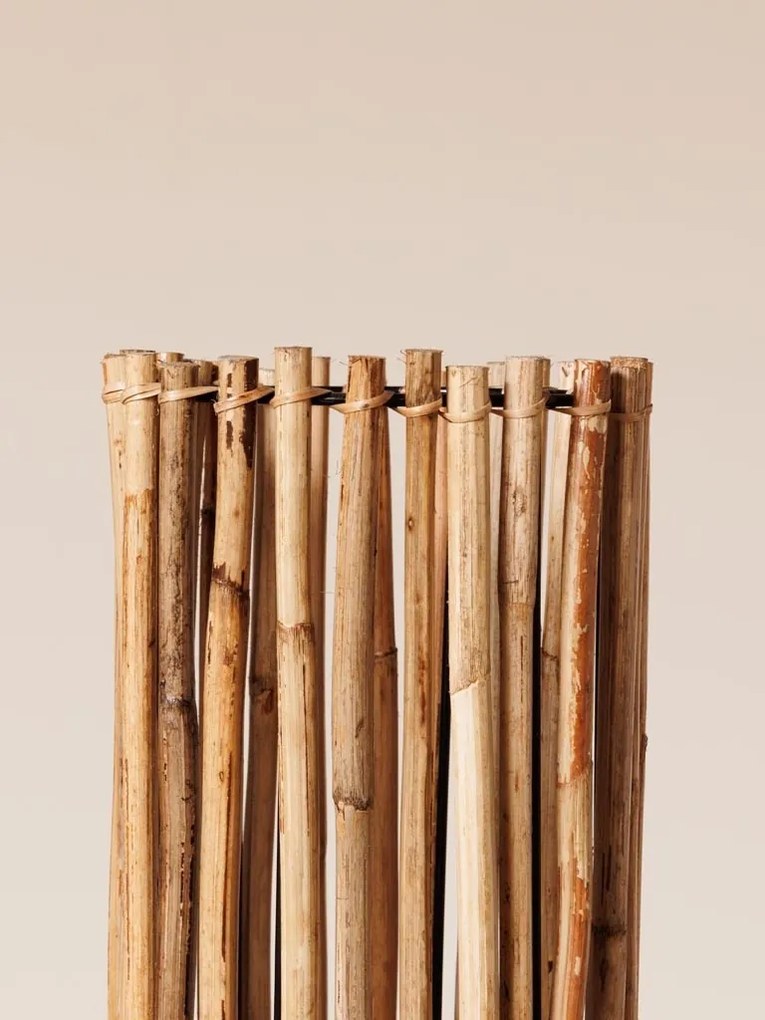 Lampadar din rattan, Savana