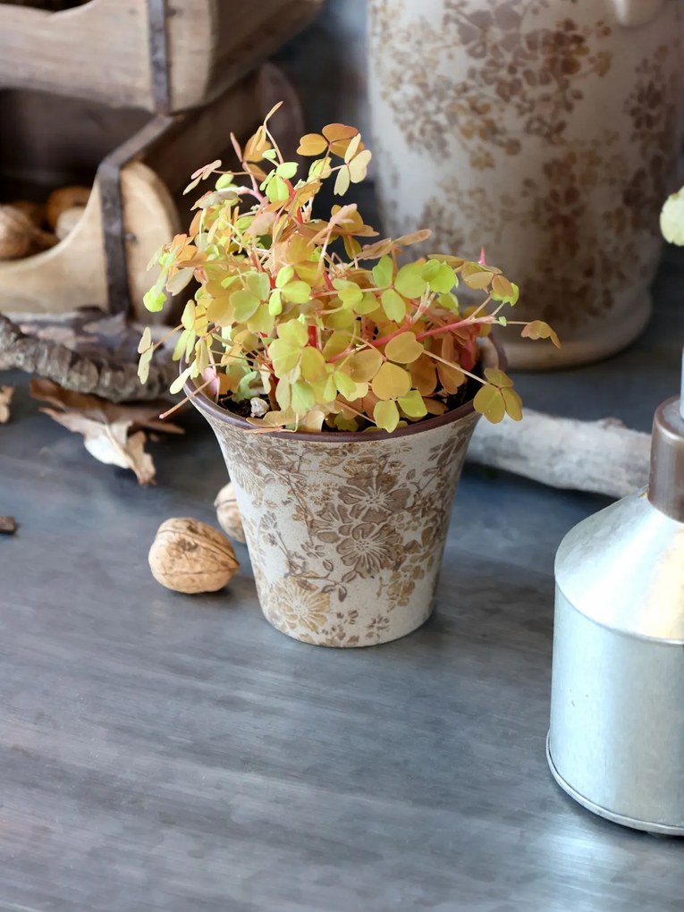 Ghiveci din ceramica, cu motive florale, D12cm, Melun