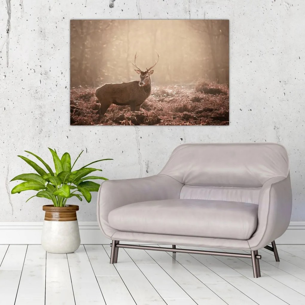 Tablou - Cerb în pădure (90x60 cm)
