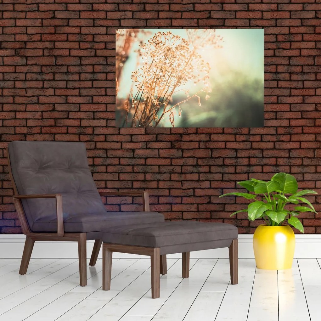 Tablou - Plante după ploaie (90x60 cm)