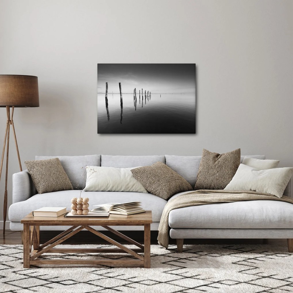 Tablou cu nivelul de lac alb negru (70x50 cm)