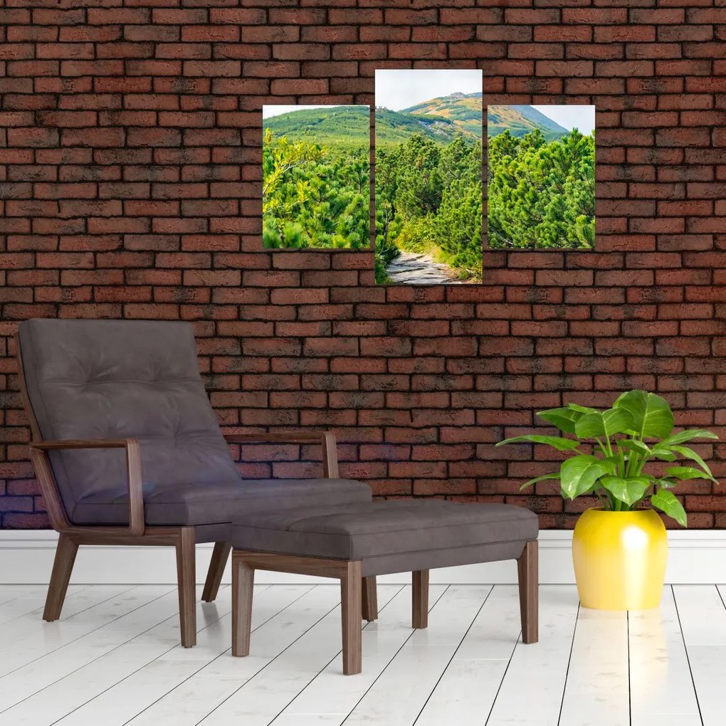 Tablou - Babi Hora, Polonia (90x60 cm)