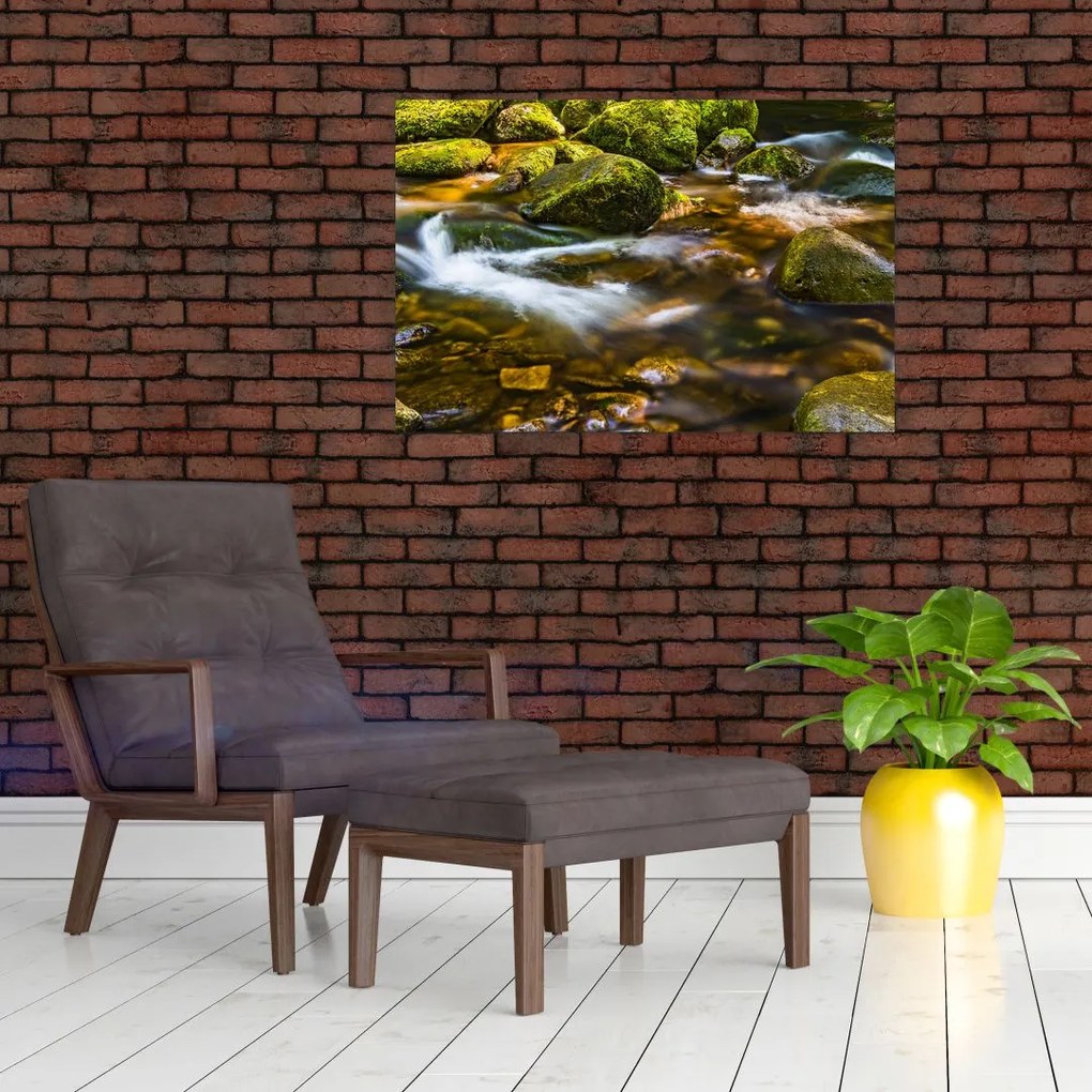 Tablou cu părâu (90x60 cm)