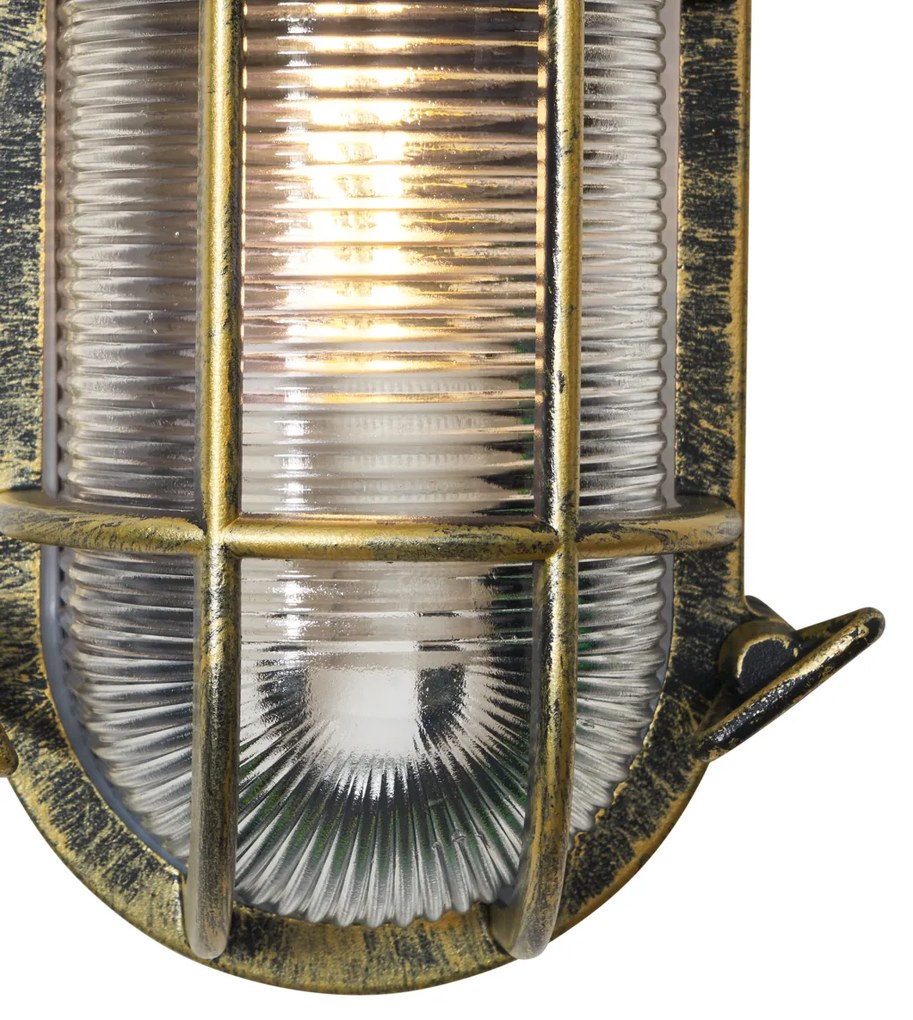 Lampă de exterior de perete și de plafon auriu antic 5,2 cm ovală IP44 - Noutica