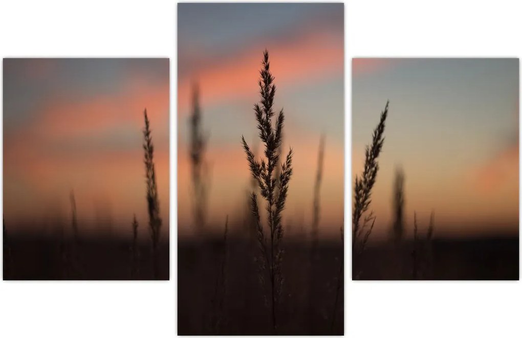 Tablou - Silueta plantei (90x60 cm)