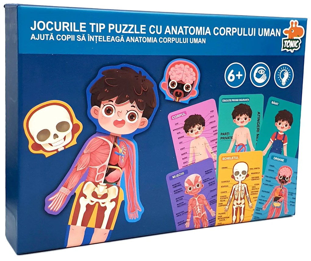 Puzzle educativ din lemn corpul uman baietel in limba romana JC65