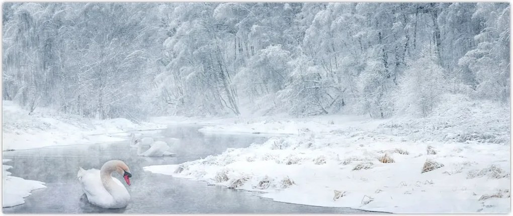 Tablou cu lebăde (120x50 cm)