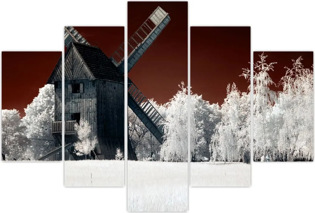 Tablou cu moară (150x105 cm)