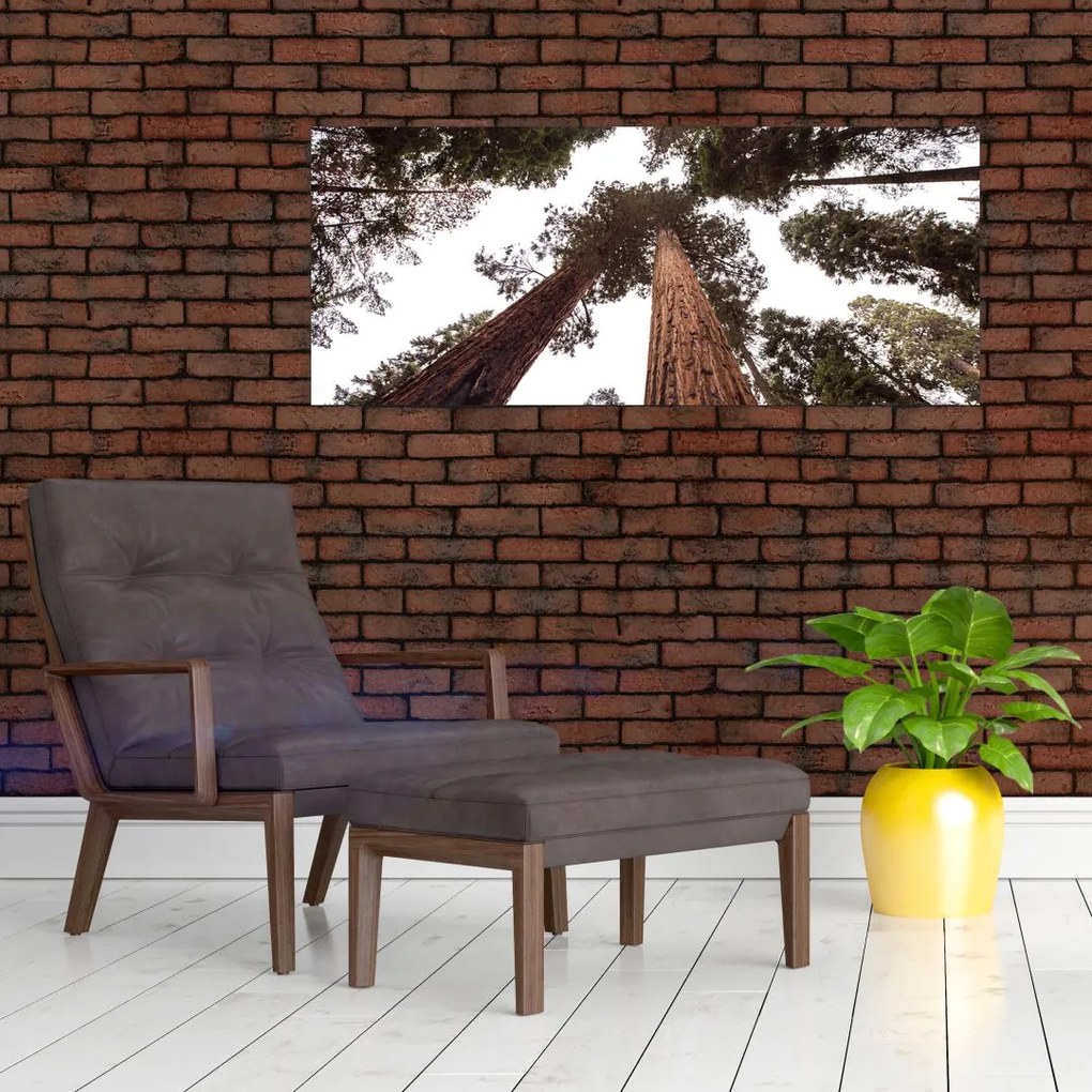 Tablou - Privire prin vârfurile copacilor (120x50 cm)