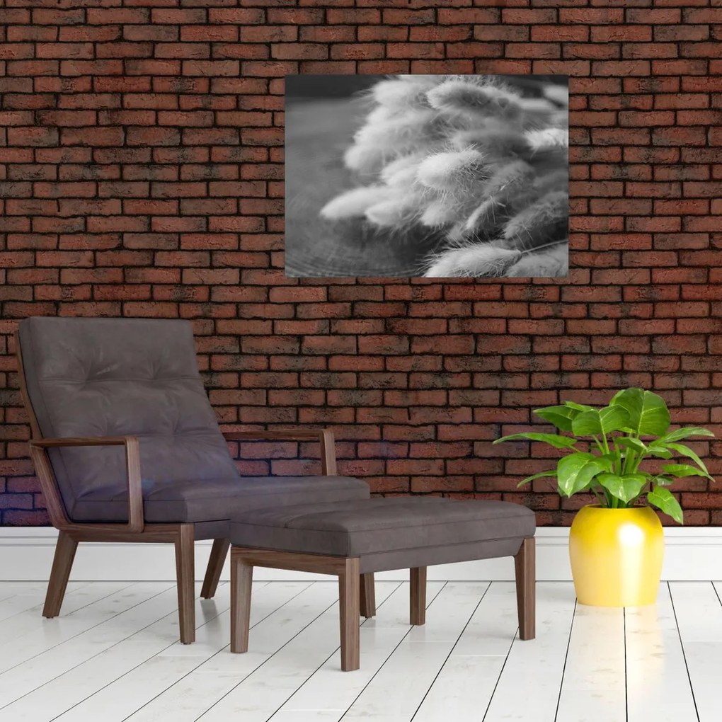 Tablou pe sticlă - iarbă de coadă de iepure pe masă (70x50 cm)