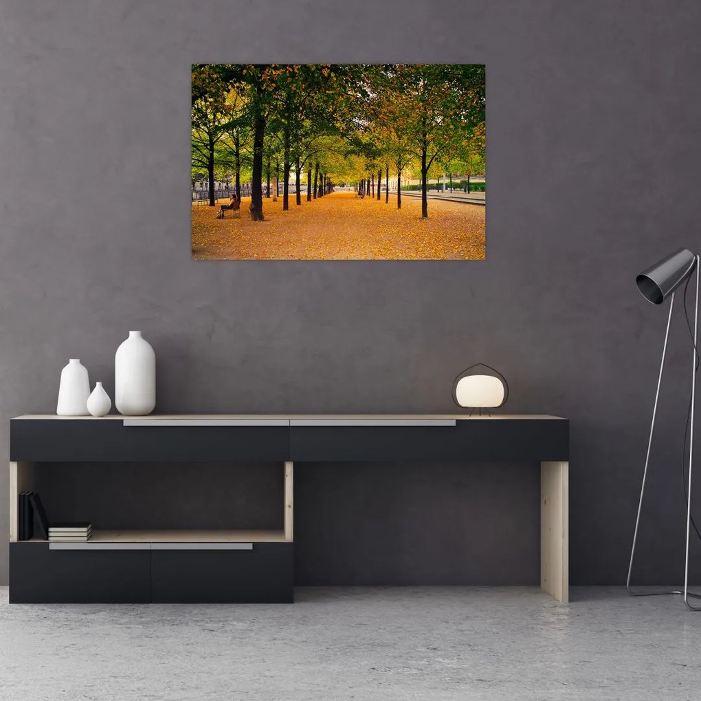Tablou cu alee cu copaci în toamnă (90x60 cm)