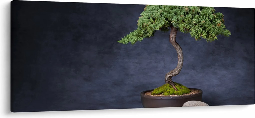 Tablou - Bonsai (120x50 cm)
