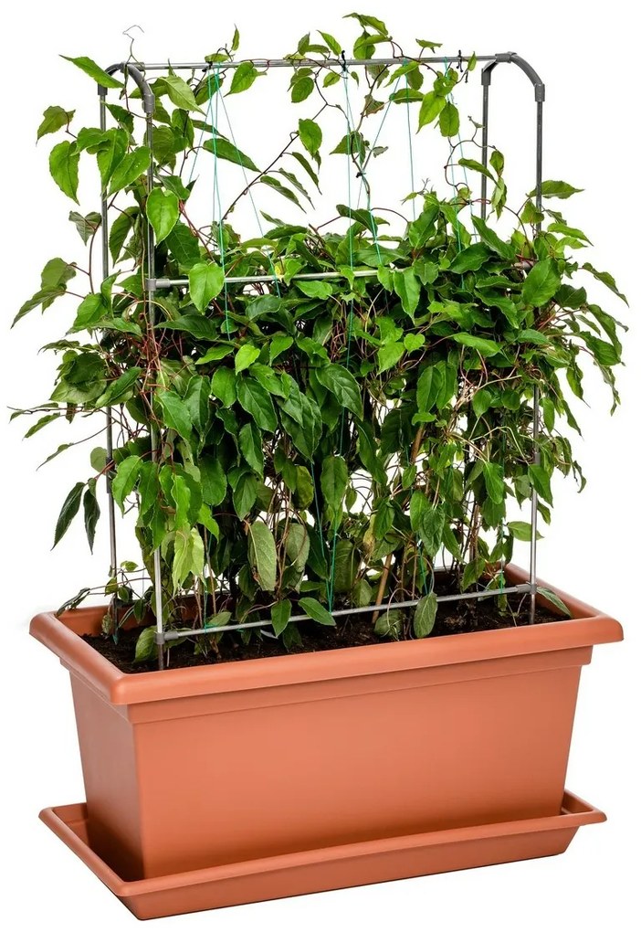 Ghiveci de volum mare Gardenico Magnus, 80 cm, 80 cm