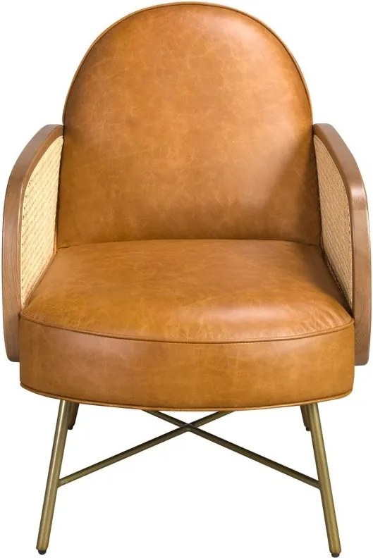 Fotoliu design LUX, Ratan, Piele Naturala 5162