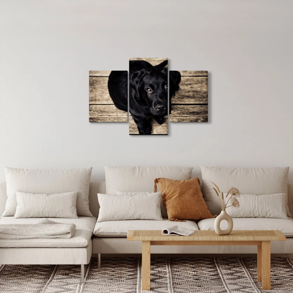 Tablou cu cățeluș negru (90x60 cm)