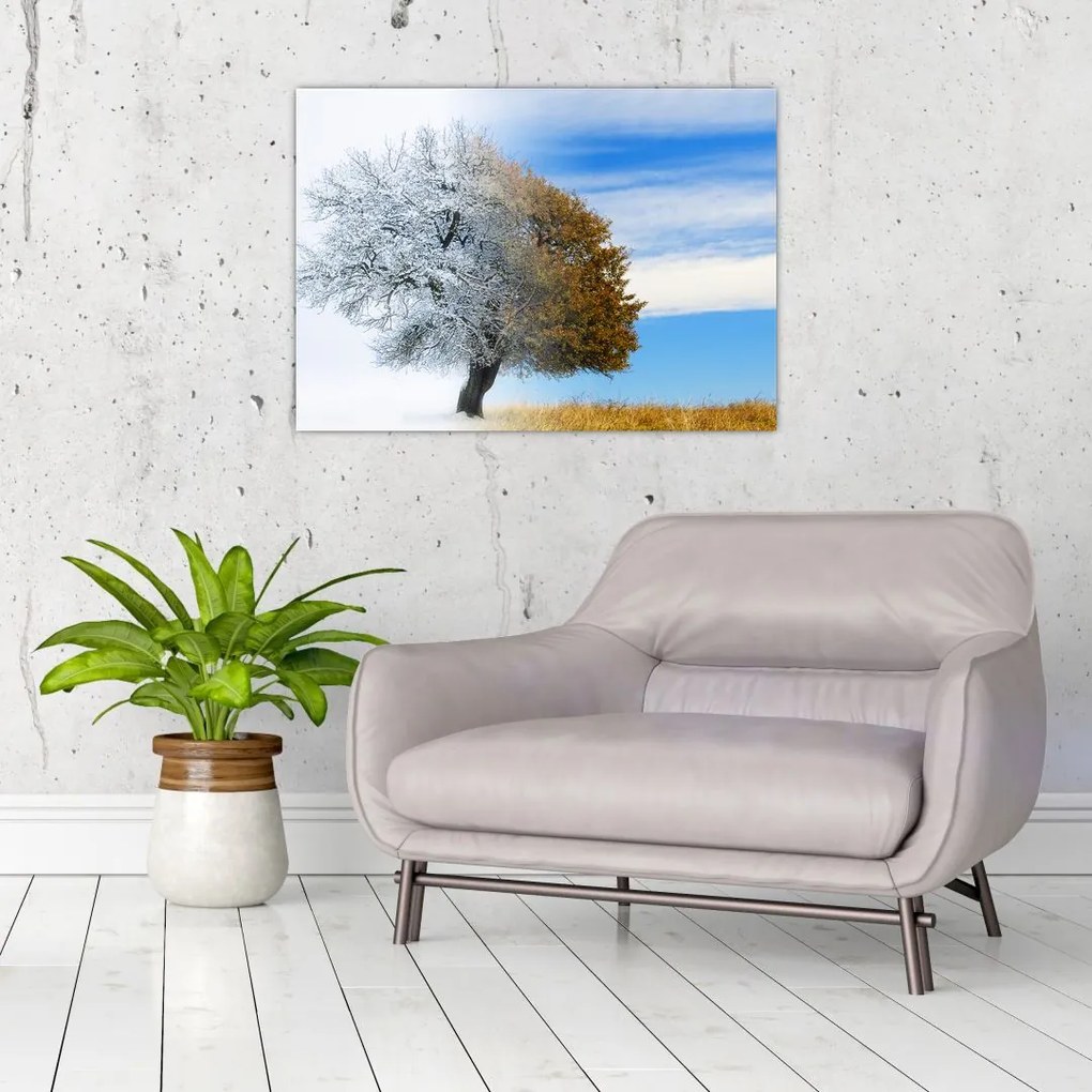Tablou pe sticlă - Schimbarea anotimpurilor (70x50 cm)