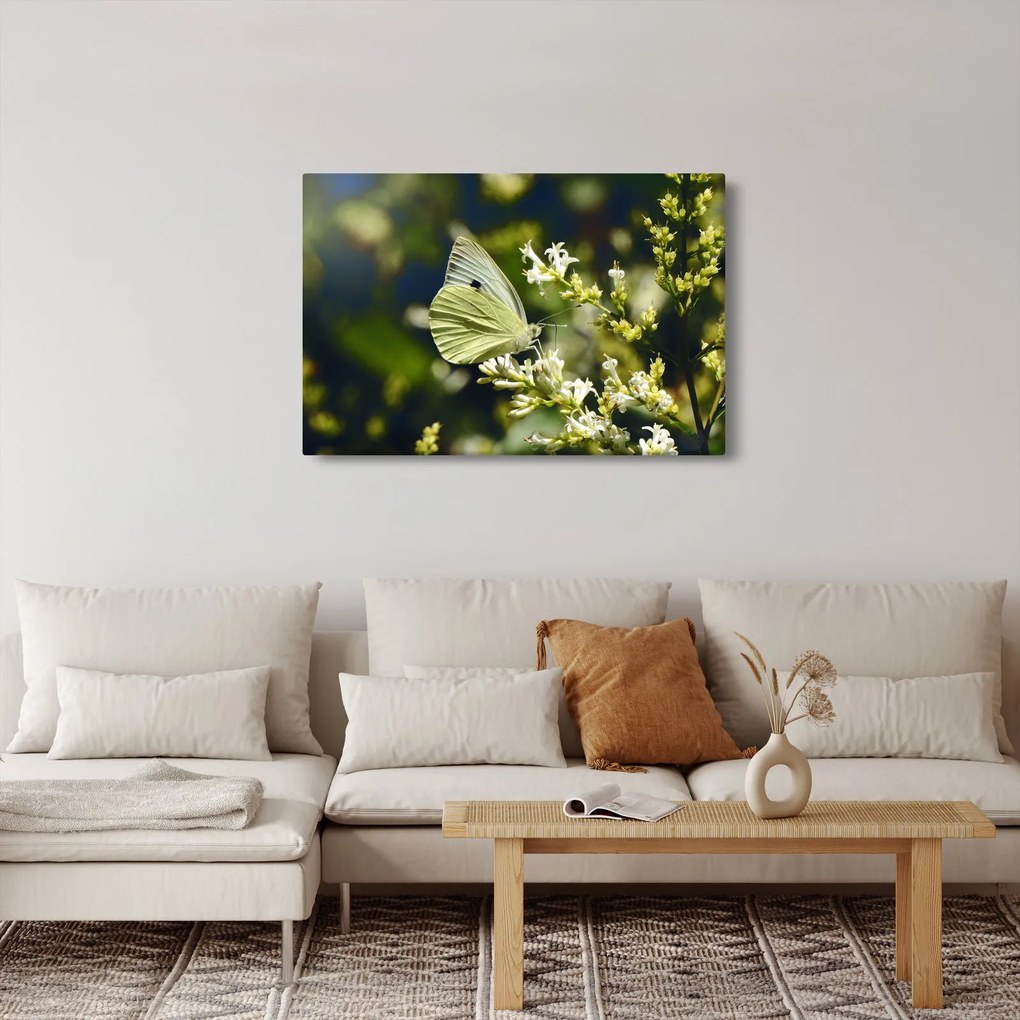 Tablou cu fluture (90x60 cm)